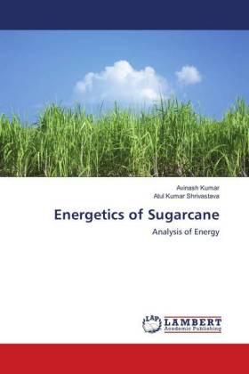 Kumar / Shrivastava |  Energetics of Sugarcane | Buch |  Sack Fachmedien