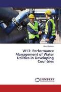 Sattarov |  W13: Performance Management of Water Utilities in Developing Countries | Buch |  Sack Fachmedien