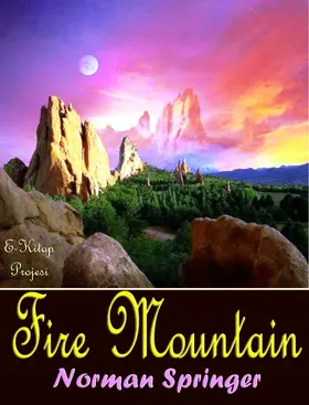Springer |  Fire Mountain | eBook | Sack Fachmedien