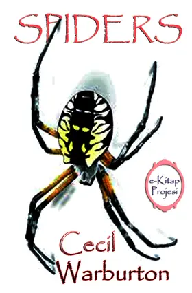 Warburton |  Spiders | eBook | Sack Fachmedien