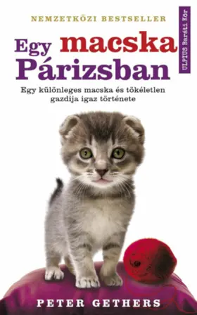 Gethers |  Egy macska Párizsban | eBook | Sack Fachmedien