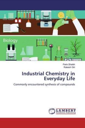 Shaikh / Giri |  Industrial Chemistry in Everyday Life | Buch |  Sack Fachmedien