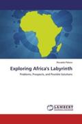 Pelizzo |  Exploring Africa's Labyrinth | Buch |  Sack Fachmedien