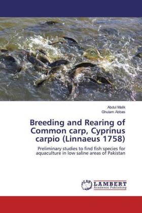 Malik / Abbas |  Breeding and Rearing of Common carp, Cyprinus carpio (Linnaeus 1758) | Buch |  Sack Fachmedien