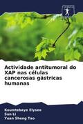 Elysee / Li / Sheng Tao |  Actividade antitumoral do XAP nas células cancerosas gástricas humanas | Buch |  Sack Fachmedien
