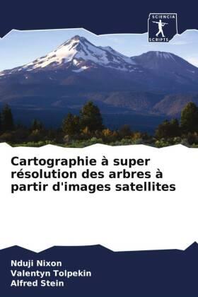 Nixon / Tolpekin / Stein |  Cartographie à super résolution des arbres à partir d'images satellites | Buch |  Sack Fachmedien