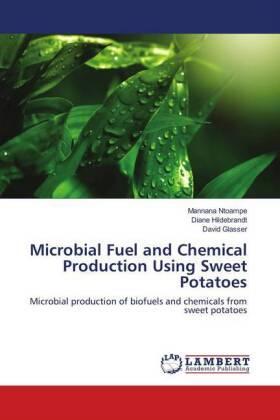 Ntoampe / Hildebrandt / Glasser |  Microbial Fuel and Chemical Production Using Sweet Potatoes | Buch |  Sack Fachmedien