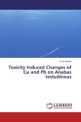 Kumar |  Toxicity Induced Changes of Cu and Pb on Anabas testudineus | Buch |  Sack Fachmedien