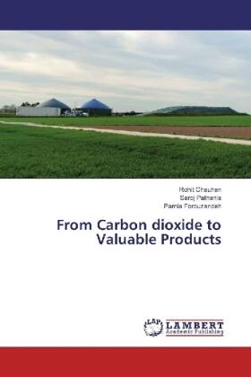 Chauhan / Pathania / Forouzandeh |  From Carbon dioxide to Valuable Products | Buch |  Sack Fachmedien