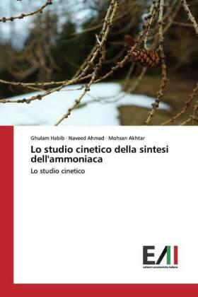 Habib / Ahmad / Akhtar |  Lo studio cinetico della sintesi dell'ammoniaca | Buch |  Sack Fachmedien