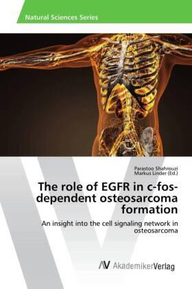 Shahrouzi / Linder |  The role of EGFR in c-fos-dependent osteosarcoma formation | Buch |  Sack Fachmedien