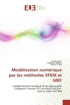 Salmi / Hachim / El Had |  Modélisation numérique par les méthodes XFEM et MEF | Buch |  Sack Fachmedien