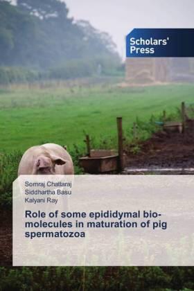 Chattaraj / Basu / Ray |  Role of some epididymal bio-molecules in maturation of pig spermatozoa | Buch |  Sack Fachmedien