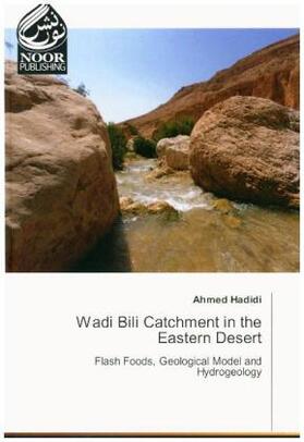 Hadidi |  Wadi Bili Catchment in the Eastern Desert | Buch |  Sack Fachmedien