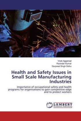 Aggarwal / Kumar / Singh Sidhu |  Health and Safety Issues in Small Scale Manufacturing Industries | Buch |  Sack Fachmedien