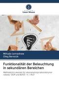 Lemeshew / Berezük |  Funktionalität der Beleuchtung in sekundären Bereichen | Buch |  Sack Fachmedien