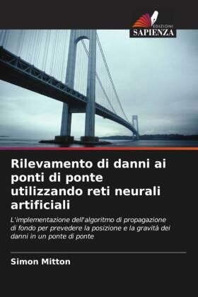 Mitton |  Rilevamento di danni ai ponti di ponte utilizzando reti neurali artificiali | Buch |  Sack Fachmedien