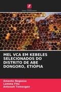 Negussa / Fita / Temesgen |  MEL VCA EM KEBELES SELECIONADOS DO DISTRITO DE ABE DONGORO, ETIÓPIA | Buch |  Sack Fachmedien