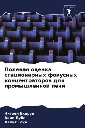 Bhirud / Dube / Toke |  Polewaq ocenka stacionarnyh fokusnyh koncentratorow dlq promyshlennoj pechi | Buch |  Sack Fachmedien
