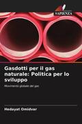 Omidvar |  Gasdotti per il gas naturale: Politica per lo sviluppo | Buch |  Sack Fachmedien
