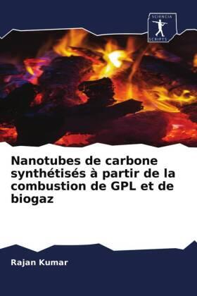 Kumar |  Nanotubes de carbone synthétisés à partir de la combustion de GPL et de biogaz | Buch |  Sack Fachmedien