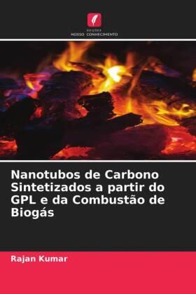 Kumar |  Nanotubos de Carbono Sintetizados a partir do GPL e da Combustão de Biogás | Buch |  Sack Fachmedien