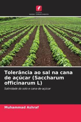 Ashraf |  Tolerância ao sal na cana de açúcar (Saccharum officinarum L) | Buch |  Sack Fachmedien