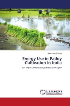 Kumar |  Energy Use in Paddy Cultivation in India | Buch |  Sack Fachmedien