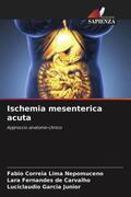 Nepomuceno / Carvalho / Junior |  Ischemia mesenterica acuta | Buch |  Sack Fachmedien