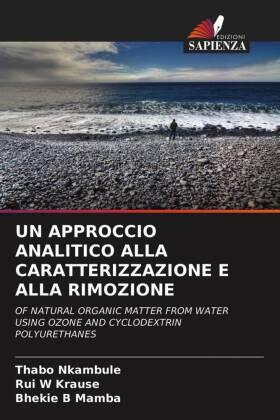 Nkambule / Krause / Mamba |  UN APPROCCIO ANALITICO ALLA CARATTERIZZAZIONE E ALLA RIMOZIONE | Buch |  Sack Fachmedien