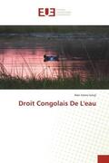 Nzovu Luvuji |  Droit Congolais De L'eau | Buch |  Sack Fachmedien