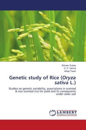 Dubey / Verma / Tiwari |  Genetic study of Rice (Oryza sativa L.) | Buch |  Sack Fachmedien