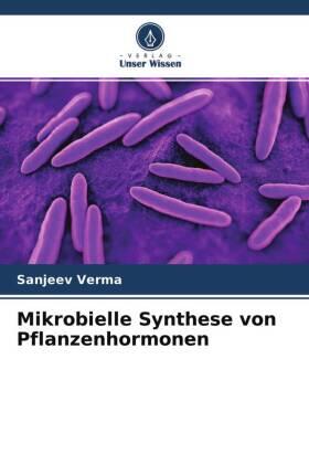 Verma |  Mikrobielle Synthese von Pflanzenhormonen | Buch |  Sack Fachmedien