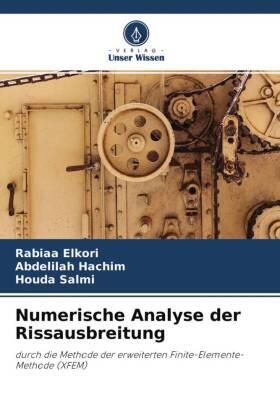 Elkori / Hachim / Salmi |  Numerische Analyse der Rissausbreitung | Buch |  Sack Fachmedien