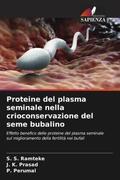 Ramteke / Prasad / Perumal |  Proteine del plasma seminale nella crioconservazione del seme bubalino | Buch |  Sack Fachmedien