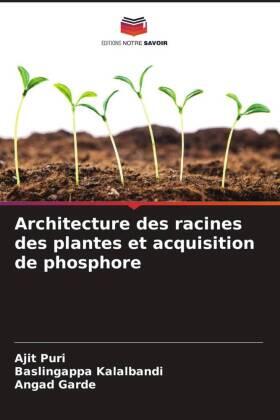 Puri / Kalalbandi / Garde |  Architecture des racines des plantes et acquisition de phosphore | Buch |  Sack Fachmedien