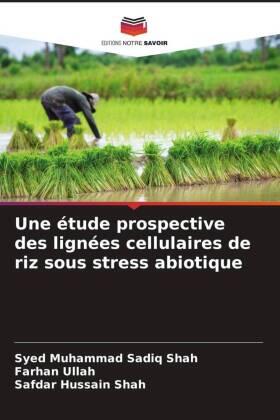 Shah / Ullah |  Une étude prospective des lignées cellulaires de riz sous stress abiotique | Buch |  Sack Fachmedien