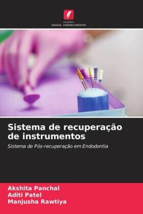 Panchal / Patel / Rawtiya |  Sistema de recuperação de instrumentos | Buch |  Sack Fachmedien