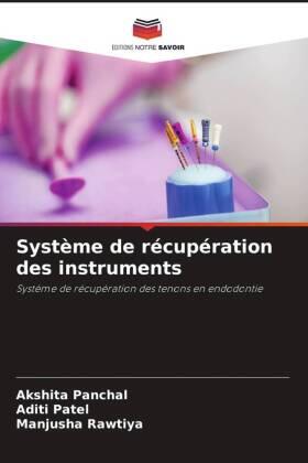 Panchal / Patel / Rawtiya |  Système de récupération des instruments | Buch |  Sack Fachmedien