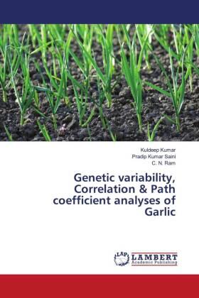 Kumar / Saini / Ram |  Genetic variability, Correlation & Path coefficient analyses of Garlic | Buch |  Sack Fachmedien
