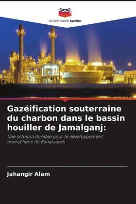 Alam |  Gazéification souterraine du charbon dans le bassin houiller de Jamalganj: | Buch |  Sack Fachmedien