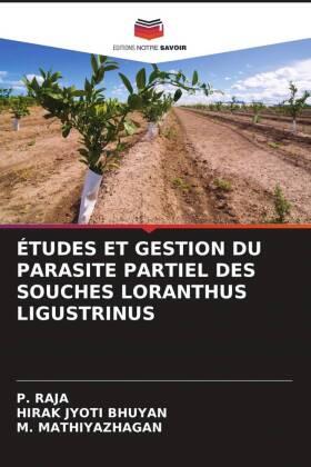 Raja / Jyoti Bhuyan / Mathiyazhagan |  ÉTUDES ET GESTION DU PARASITE PARTIEL DES SOUCHES LORANTHUS LIGUSTRINUS | Buch |  Sack Fachmedien
