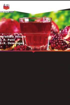 Vasure / Patil / Dewangan |  Grenade RTS Beverages | Buch |  Sack Fachmedien