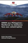 Bernaldez / Banares |  DRRM aux Philippines : Renforcer la résilience face aux catastrophes | Buch |  Sack Fachmedien