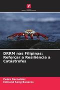 Bernaldez / Banares |  DRRM nas Filipinas: Reforçar a Resiliência a Catástrofes | Buch |  Sack Fachmedien