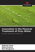 Costa / Ferreira / Mangueira |  Innovation in the Physical Treatment of Grey Water | Buch |  Sack Fachmedien