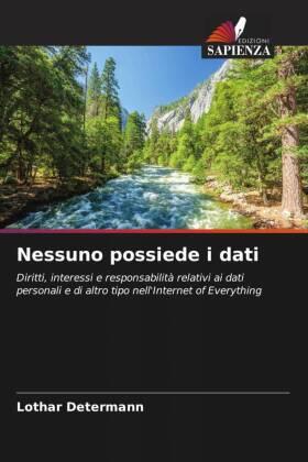 Determann |  Nessuno possiede i dati | Buch |  Sack Fachmedien