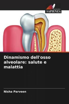 Parveen | Dinamismo dell'osso alveolare: salute e malattia | Buch | 978-620-5-56709-8 | www.sack.de