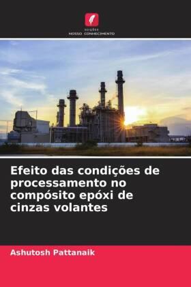 Pattanaik |  Efeito das condições de processamento no compósito epóxi de cinzas volantes | Buch |  Sack Fachmedien