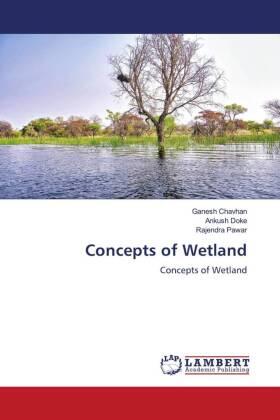 Chavhan / Doke / Pawar |  Concepts of Wetland | Buch |  Sack Fachmedien
